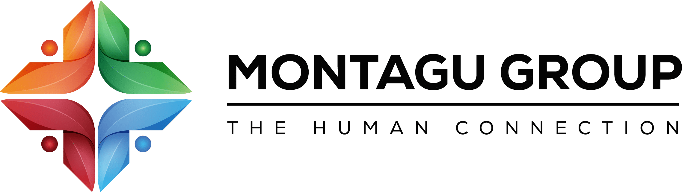 Montagu Group